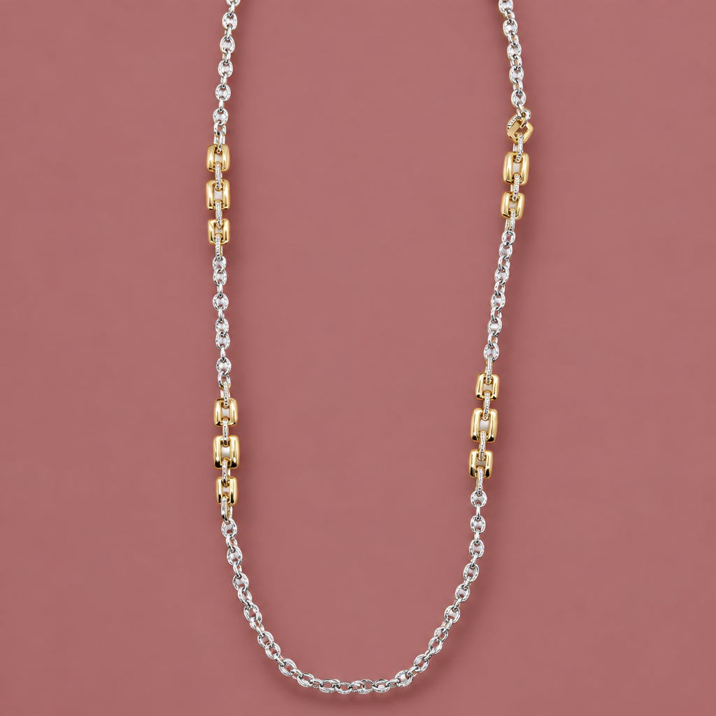 Audrey's Two-Toned Long Chain Necklace with Square Detail
