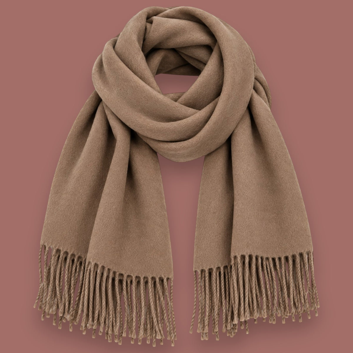Audrey's - Soft & Cozy Fringe Scarf