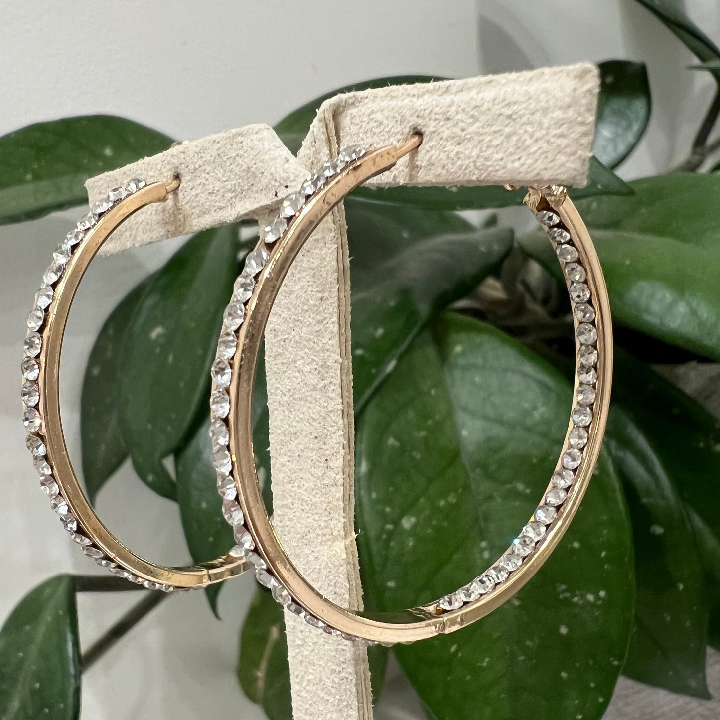 Jacqueline Kent - Medium Size Round Crystal Hoops
