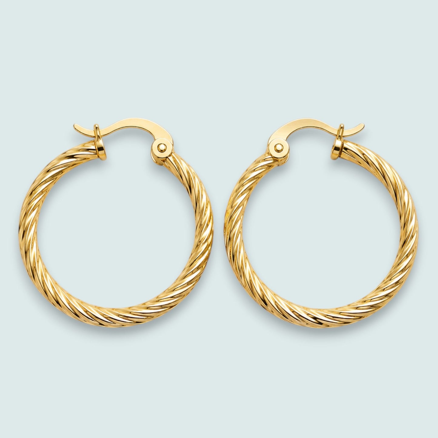 Audrey's - Twisted Texture Hoop Earrings