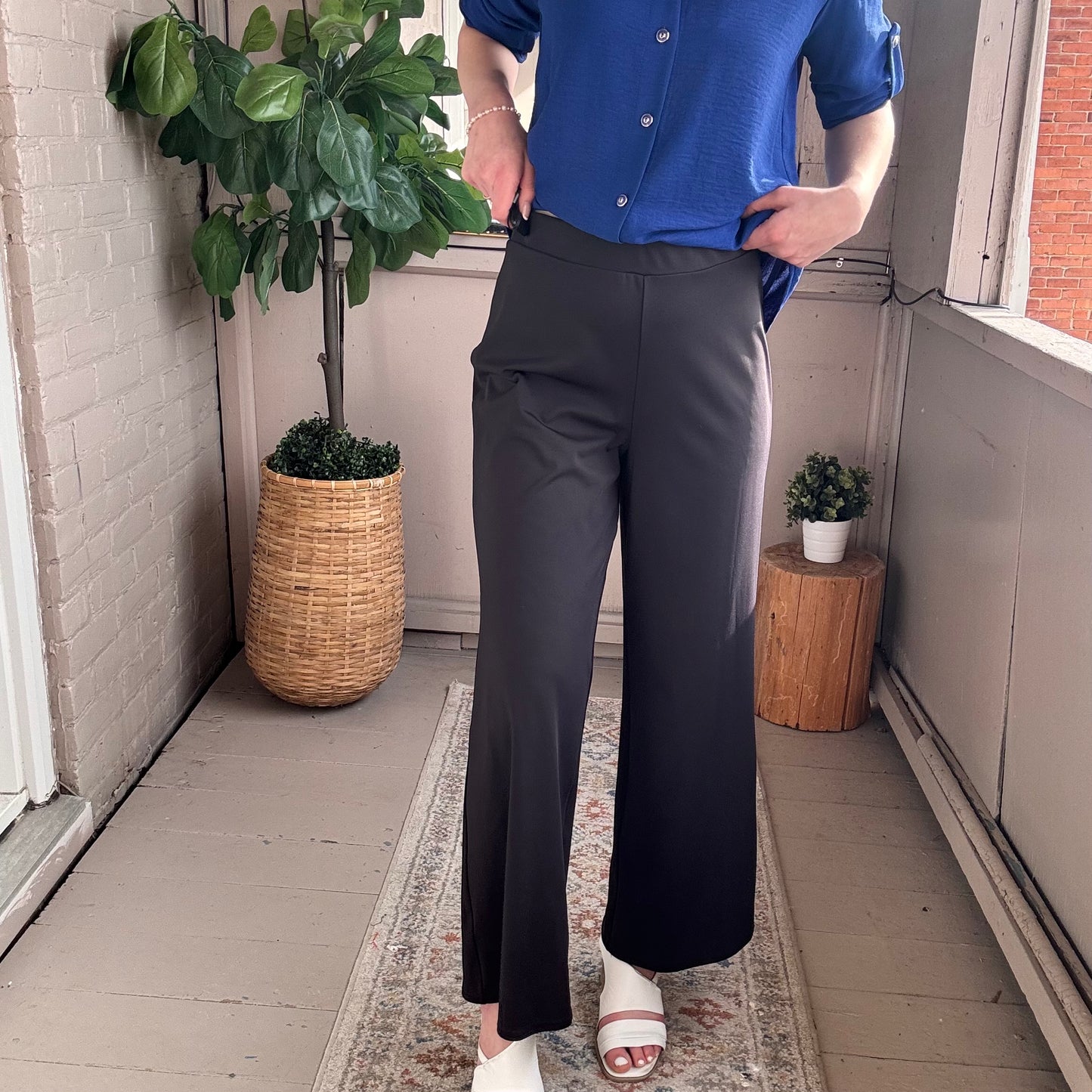 Pure - Pull-On Dress Pants
