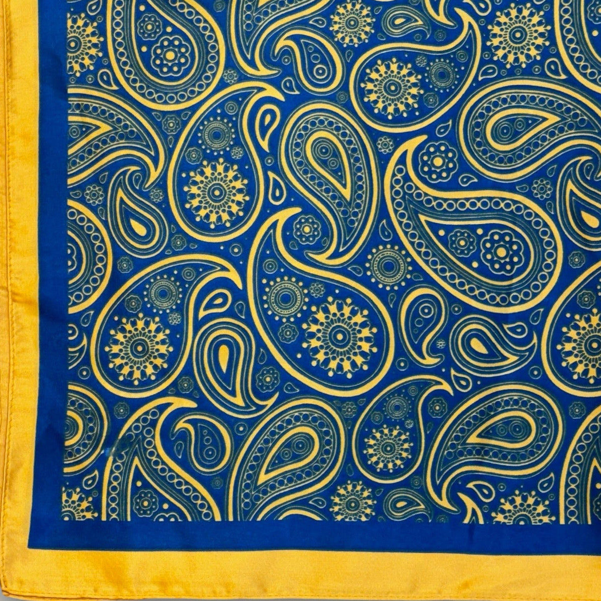 Audrey's - Sapphire & Sunburst Paisley Scarf