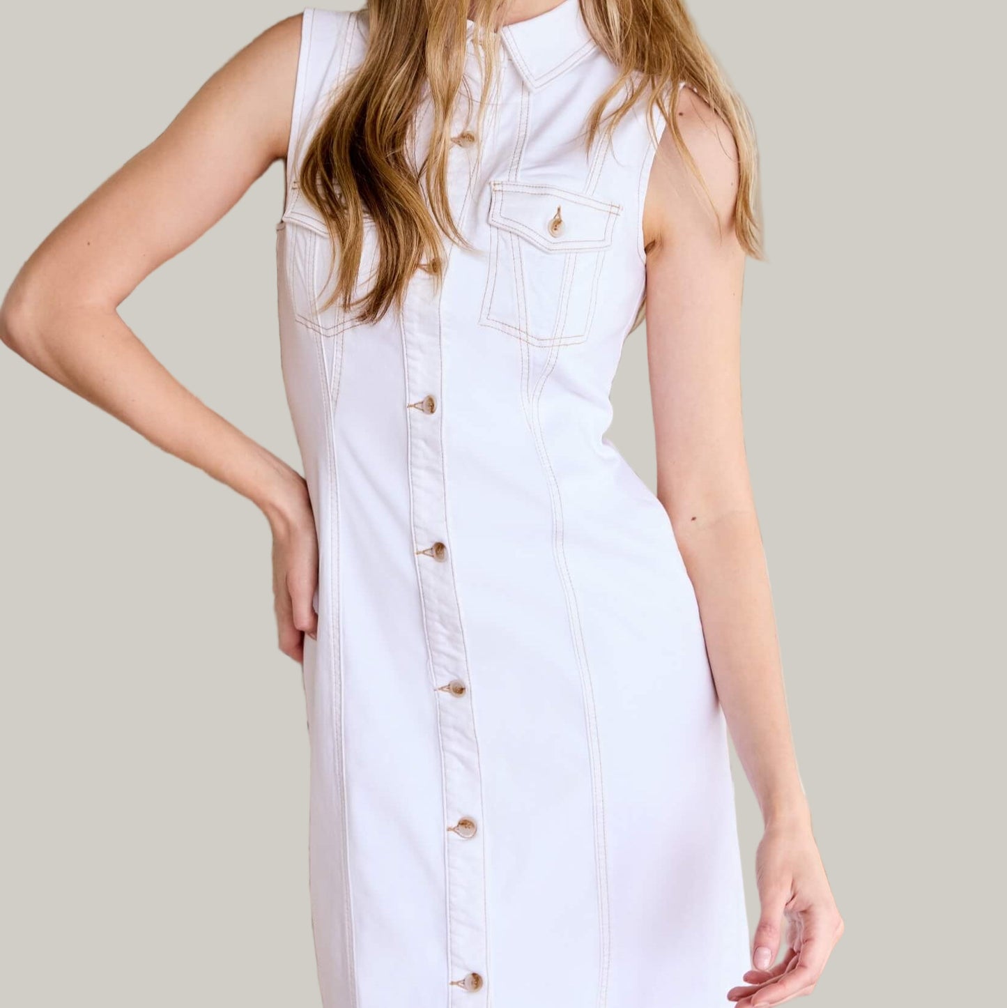 Renuar - Sleeveless Dress (Petite)