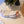 Load image into Gallery viewer, Unified - Pom-Pom Ankle Socks