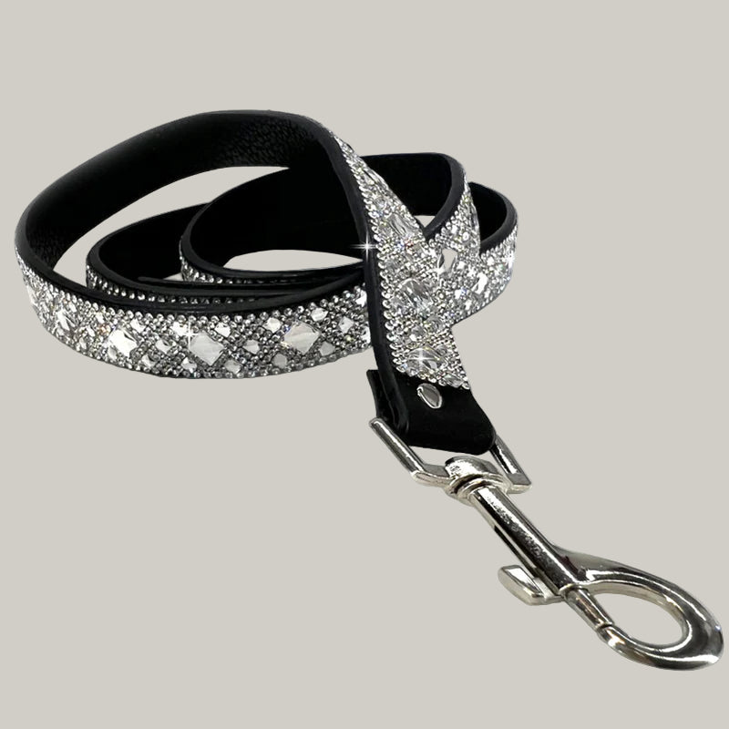 Jacqueline Kent - Diamonds In The Ruff Dog Leash