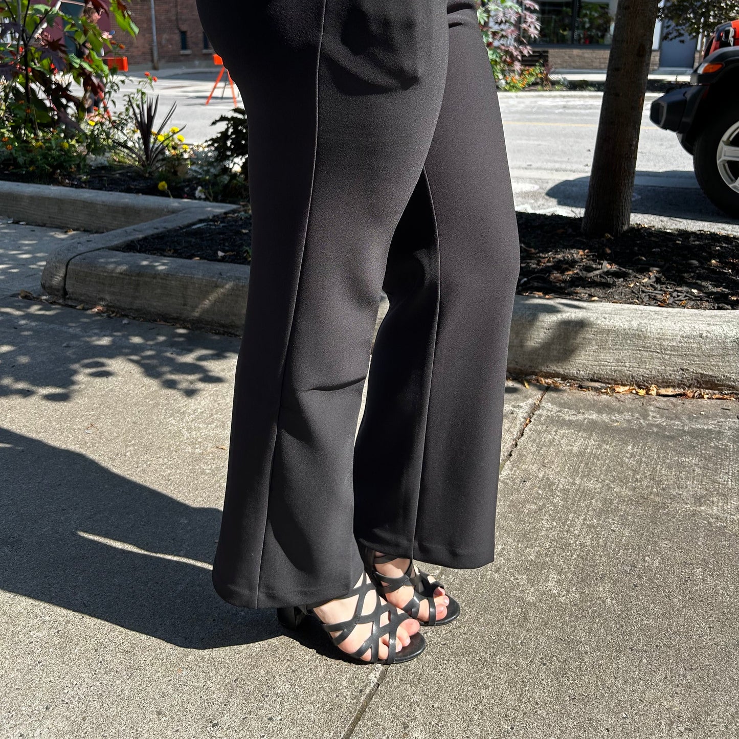 Lisette L - Wide Leg Dress Pants