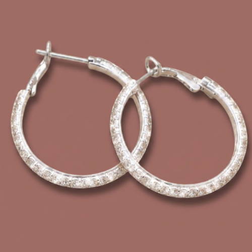 Audrey's - Mid-Size Crystal Hoops