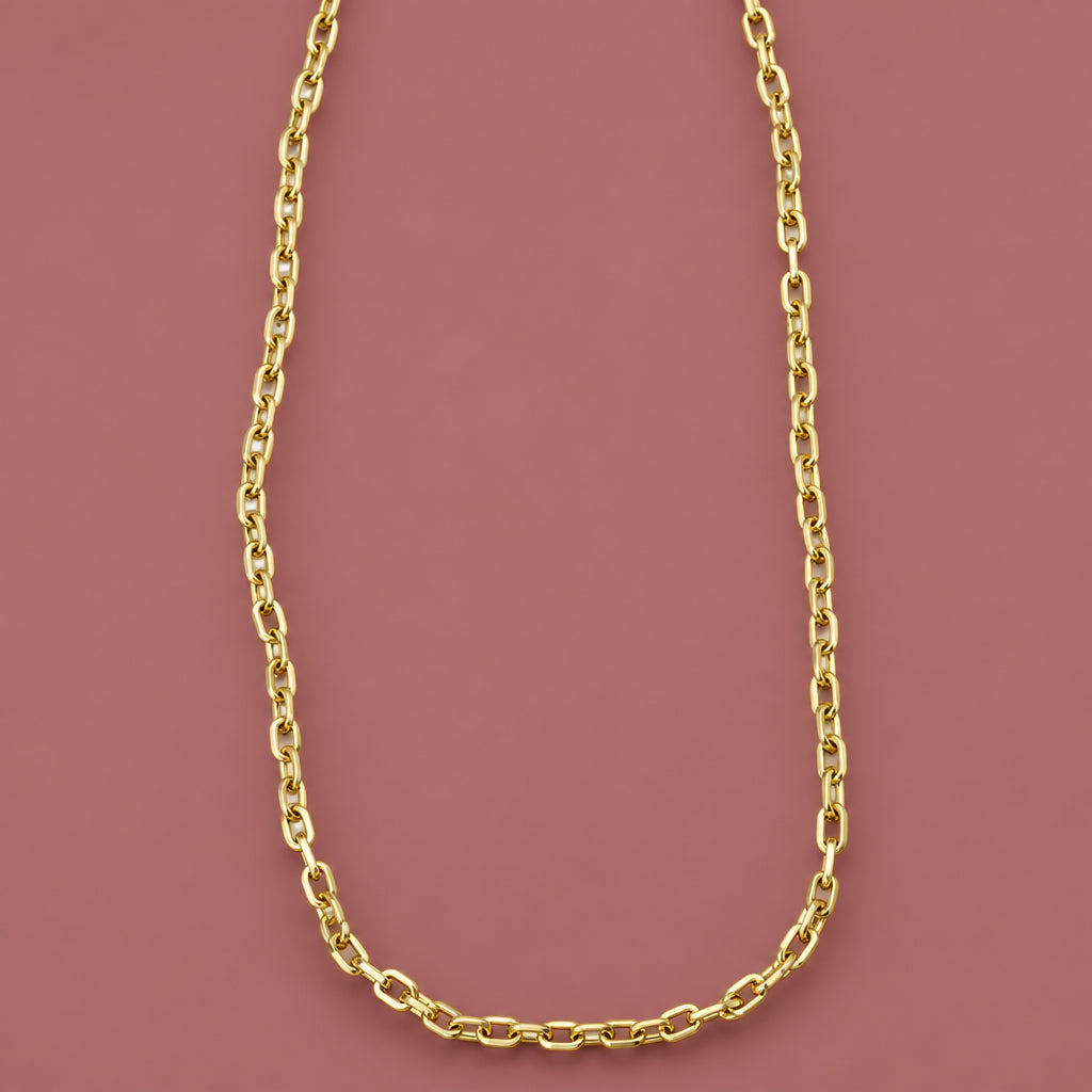 Audrey's - Brushed Gold Long Chain Necklace