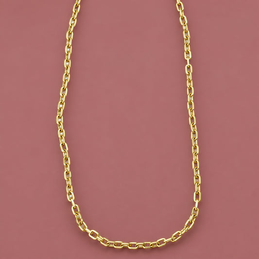 Audrey's - Brushed Gold Long Chain Necklace