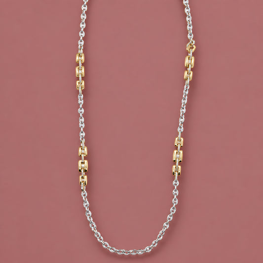 Audrey's Two-Toned Long Chain Necklace with Square Detail