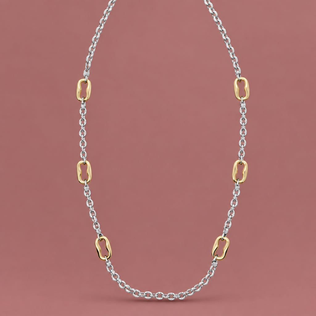 Audrey's Two-Toned Chain Necklace