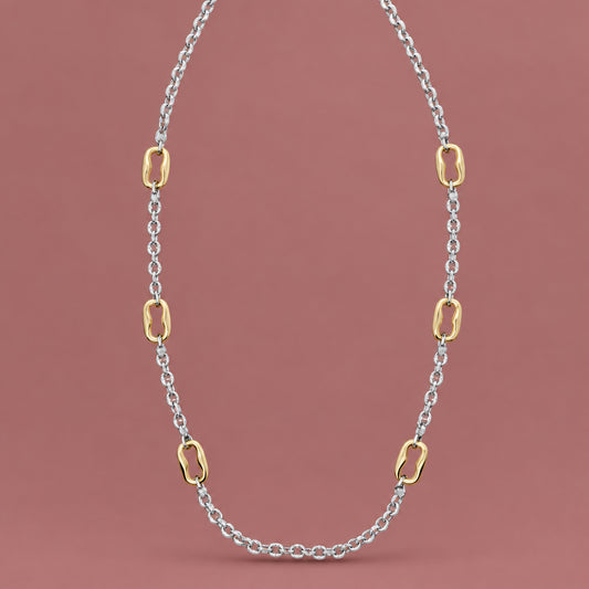 Audrey's Two-Toned Chain Necklace