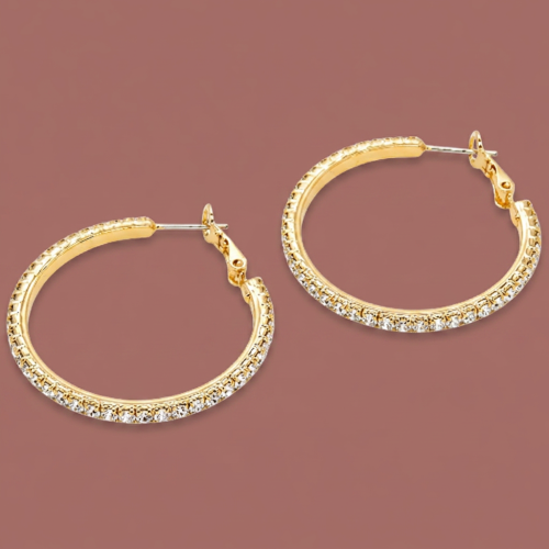 Audrey's - Crystal Line Hoop Earrings