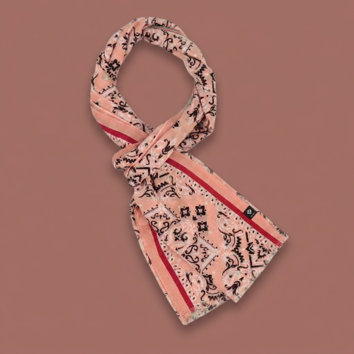 Fraas - Paisley Border Lightweight Scarf
