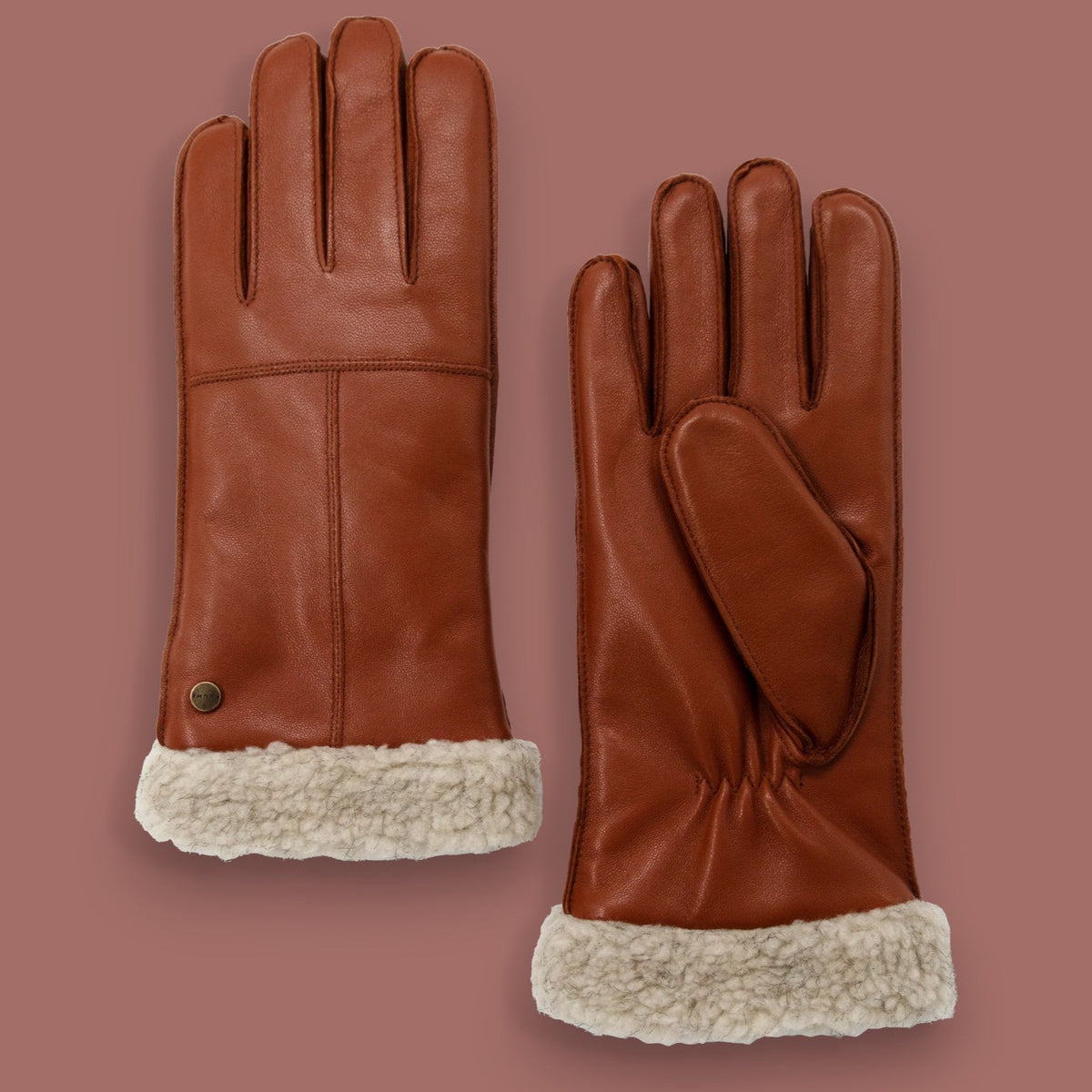 Brume - Colwood Cozy Leather Gloves