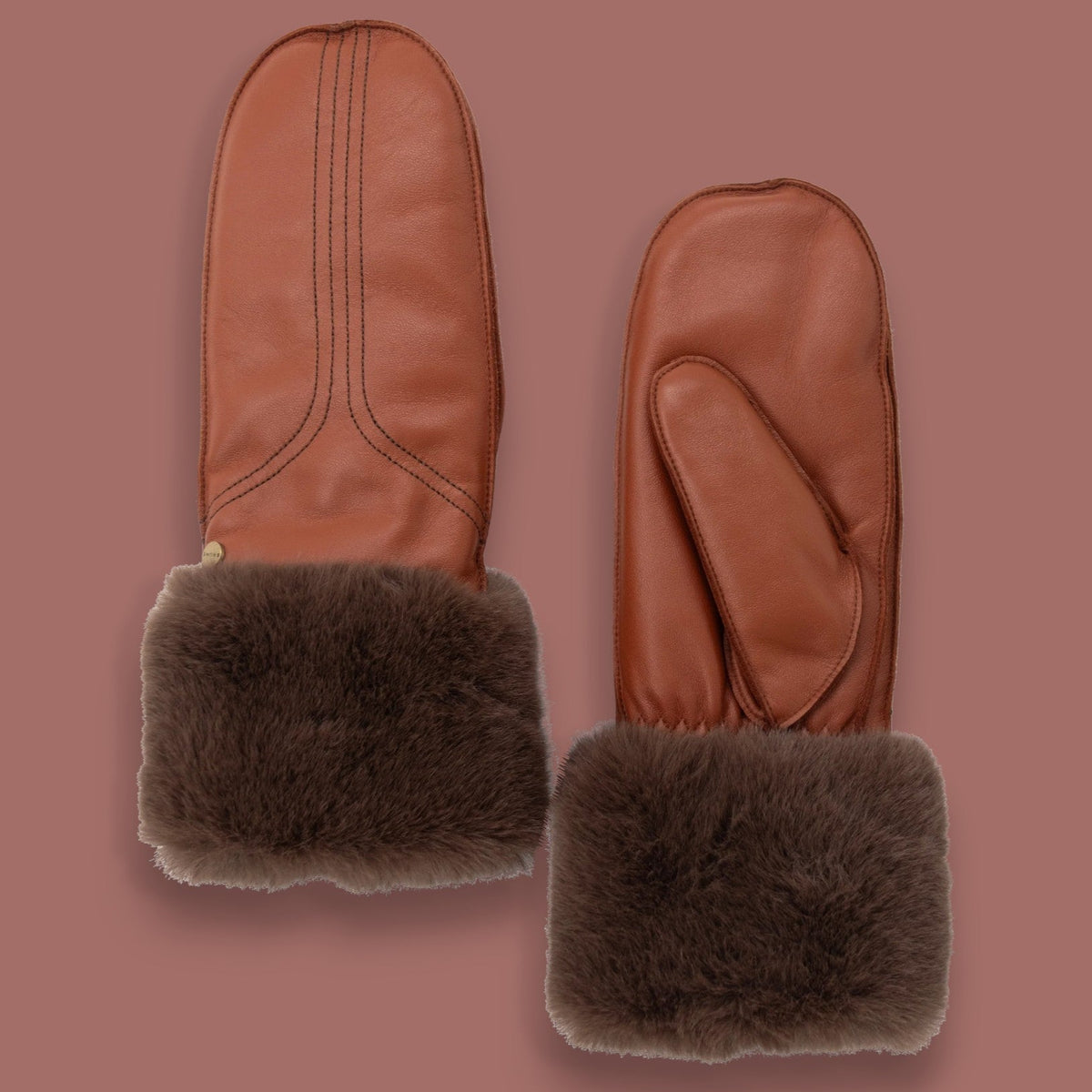Brume - Greenwood Leather & Faux Fur Mittens