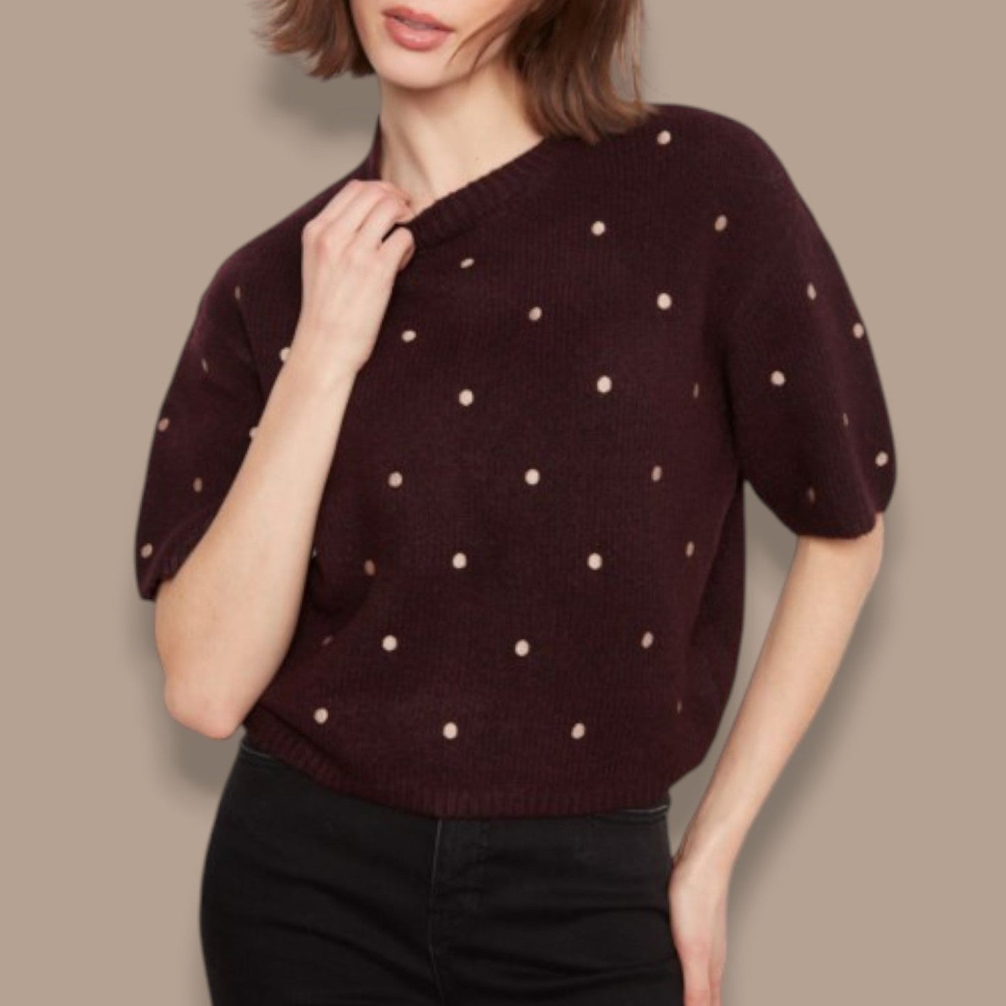 Charlie B - Short Sleeve Dot Detail Sweater