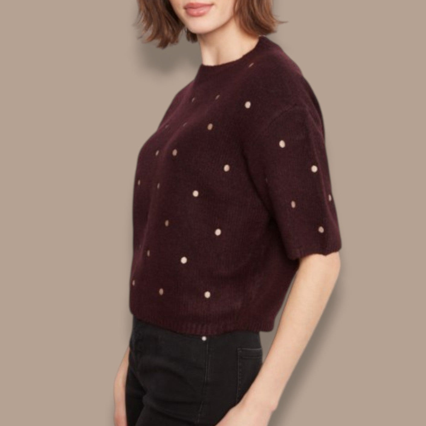 Charlie B - Short Sleeve Dot Detail Sweater