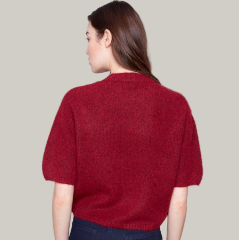 Charlie B - Balloon Elbow Sleeve Knit Sweater