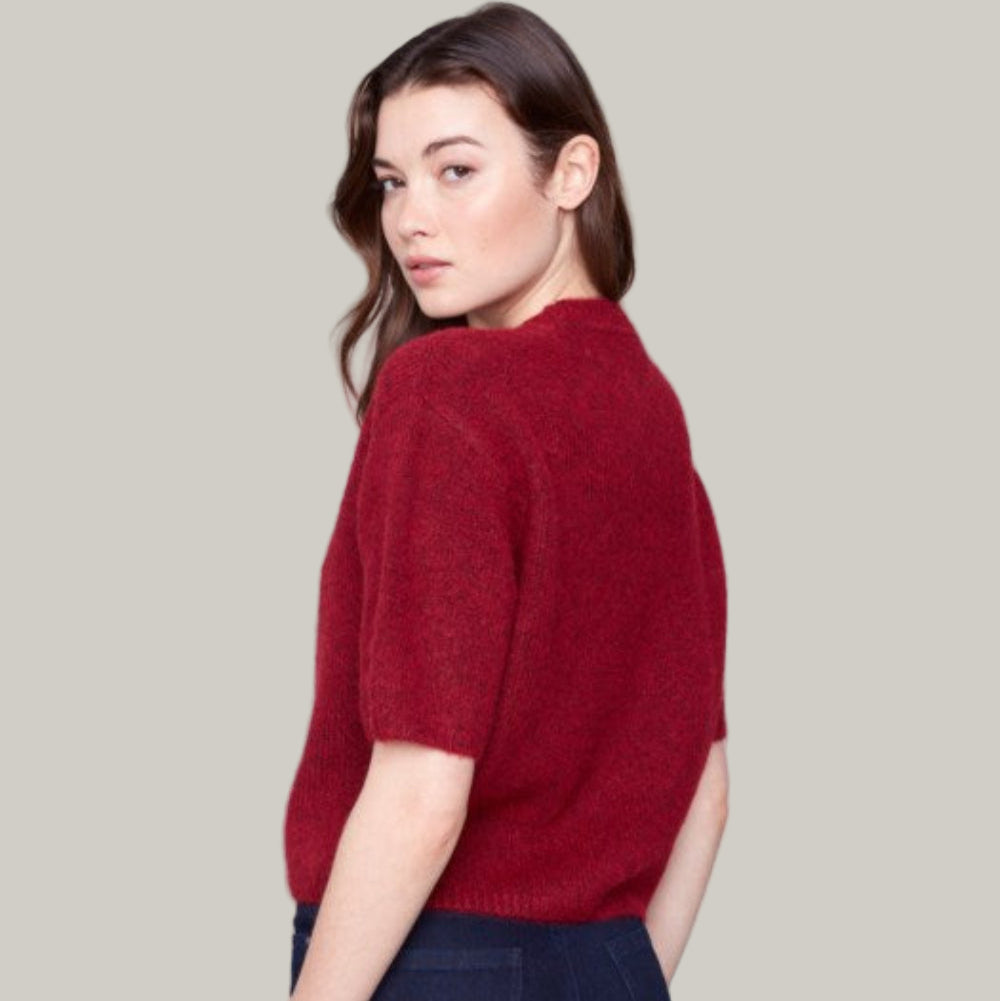 Charlie B - Balloon Elbow Sleeve Knit Sweater