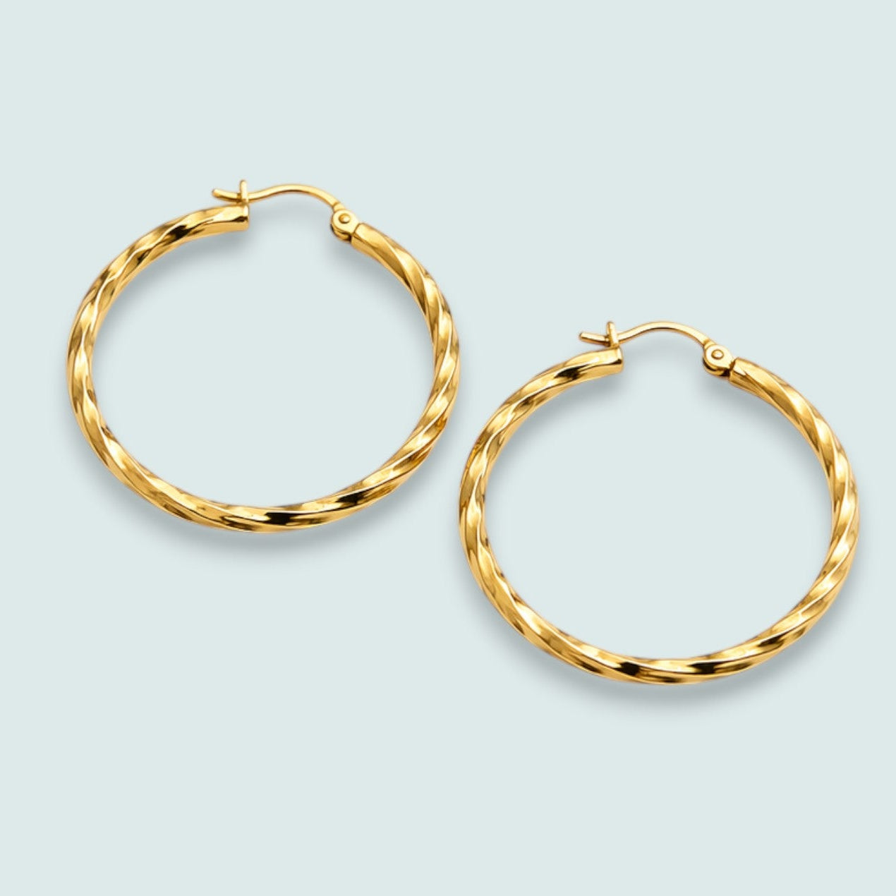 Audrey's - Twisted Hoop Earrings