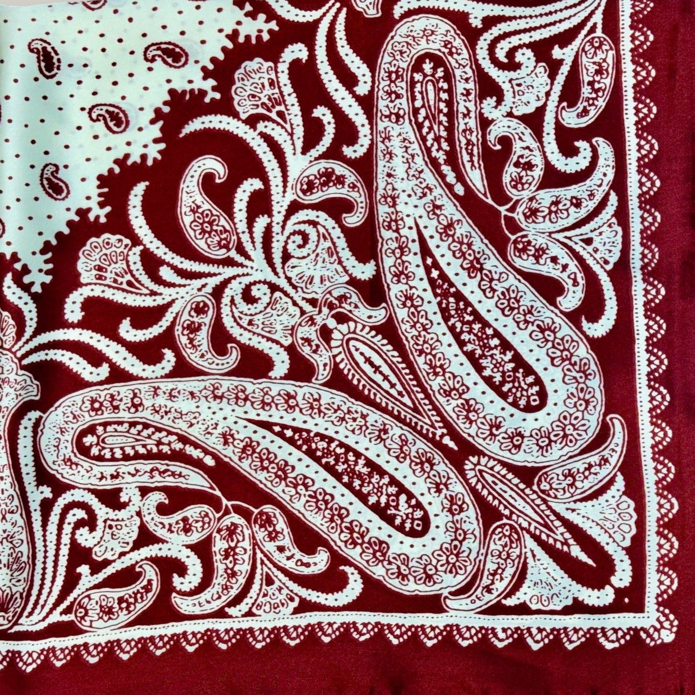 Audrey's - Classic Crimson Paisley Scarf