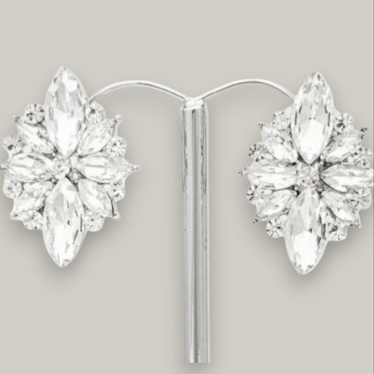 Evershine - Starburst Elegance Clip-On Earrings