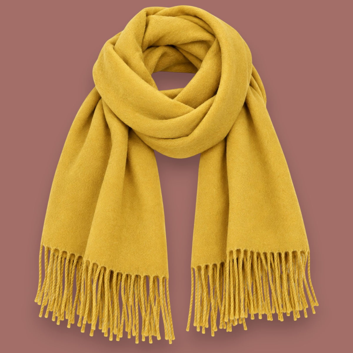 Audrey's - Soft & Cozy Fringe Scarf